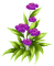 Kaz_Creations Flowers Flower - ücretsiz png animasyonlu GIF