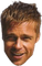 Visage Brad Pitt - bezmaksas png animēts GIF