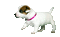 Dog Puppy Chien - GIF animasi gratis GIF animasi