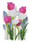 Frühling, Blumen - darmowe png animowany gif