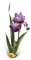 Tournesol94 fleur - png grátis Gif Animado