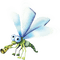 insecte.Cheyenne63 - png gratuito GIF animata