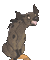 Hyène - Animovaný GIF zadarmo animovaný GIF