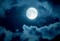 winter moon - Free PNG Animated GIF