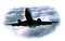 Kaz_Creations Aeroplane - Free PNG Animated GIF