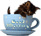 Good Morning cat - GIF animado grátis Gif Animado
