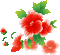 Corner. Flower. Red. Leila - Free animated GIF Animated GIF
