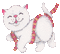 cat chat katze white blanc animal animals gif anime animated animation animaux mignon fun - Animovaný GIF zadarmo animovaný GIF
