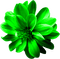 Flower.Green - png gratuito GIF animata