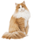 gato by EstrellaCristal - kostenlos png Animiertes GIF