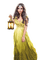 woman lantern bp - png gratis GIF animado