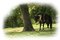 minou-horse-häst - ilmainen png animoitu GIF