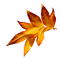 leaves - nemokama png animuotas GIF