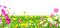 prato fiorito - Free PNG Animated GIF