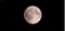 moon - Bezmaksas animēts GIF animēts GIF