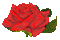 ruža - Zdarma animovaný GIF animovaný GIF