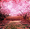 Rena Kirschbäume pink Hintergrund - gratis png animerad GIF