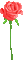 Single Red Rose - GIF animate gratis GIF animata
