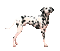 Dog-NitsaPapacon - Бесплатный анимированный гифка анимированный гифка