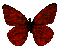 dark-red butterfly - Ingyenes animált GIF animált GIF