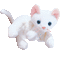 Beanie Cat 6 - Ingyenes animált GIF animált GIF