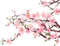 flowers pink bp - png gratis GIF animado