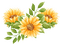 kikkapink sunflowers - 免费PNG 动画 GIF