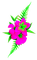 Flowers.Pink.Green - besplatni png animirani GIF
