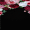 background hintergrund fondo flowers milla1959 - Gratis animeret GIF animeret GIF