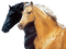 aze cheval noir black marron Brown - gratis png animerad GIF
