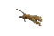 Leopard Running - Ücretsiz animasyonlu GIF animasyonlu GIF