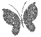 silver butterfly gif  argent papillon