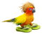 oiseau - kostenlos png Animiertes GIF