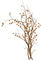 Осень-дерево. - png gratuito GIF animata