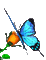 butterflies katrin - Nemokamas animacinis gif animuotas GIF
