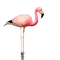 AVES - Free PNG Animated GIF