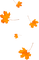 Leaves.Orange - zadarmo png animovaný GIF