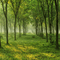 Rena Wald Hintergrund - darmowe png animowany gif