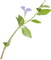 dolceluna flower blue - безплатен png анимиран GIF