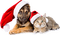 Kaz_Creations Christmas Dog Pup Dogs Cat Kitten - PNG gratuit GIF animé
