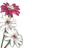 FLORES - Free PNG Animated GIF