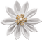 white flower-deco-minou52 - kostenlos png Animiertes GIF
