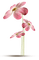 fleur - zdarma png animovaný GIF