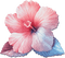 soave deco flowers summer tropical  blue pink - 無料png アニメーションGIF