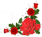 roses - zdarma png animovaný GIF