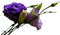 violeta - бесплатно png анимированный гифка