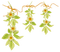 Kaz_Creations Deco Leaves Leafs Colours Flowers - ücretsiz png animasyonlu GIF