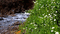 landskap  med ån - Darmowy animowany GIF animowany gif
