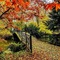 Осенний пейзаж. - gratis png animeret GIF