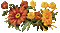 Chrysanthemum - autumn flower, gif, Pelageya